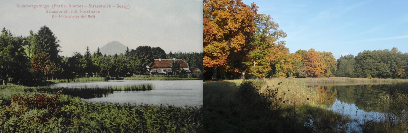 Strážovský rybník s hájovnou, r. 1909 / 2015