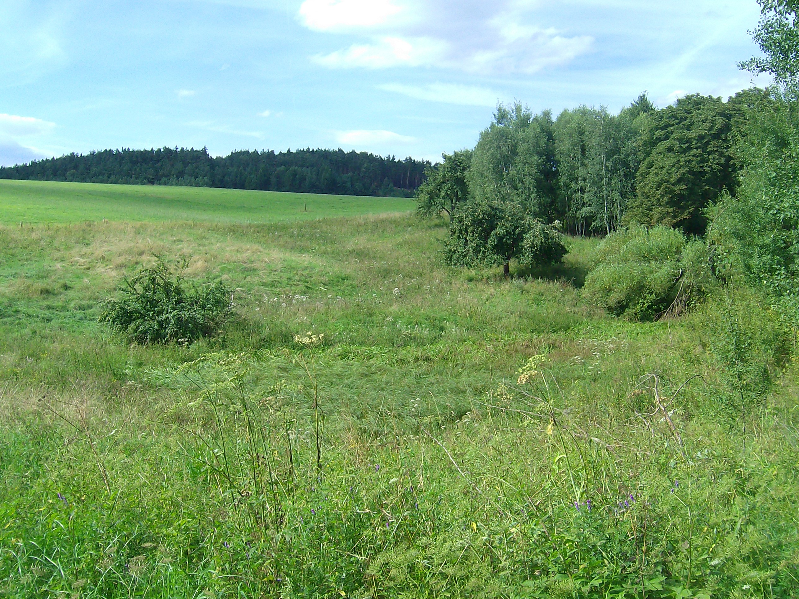 střed byv. obce