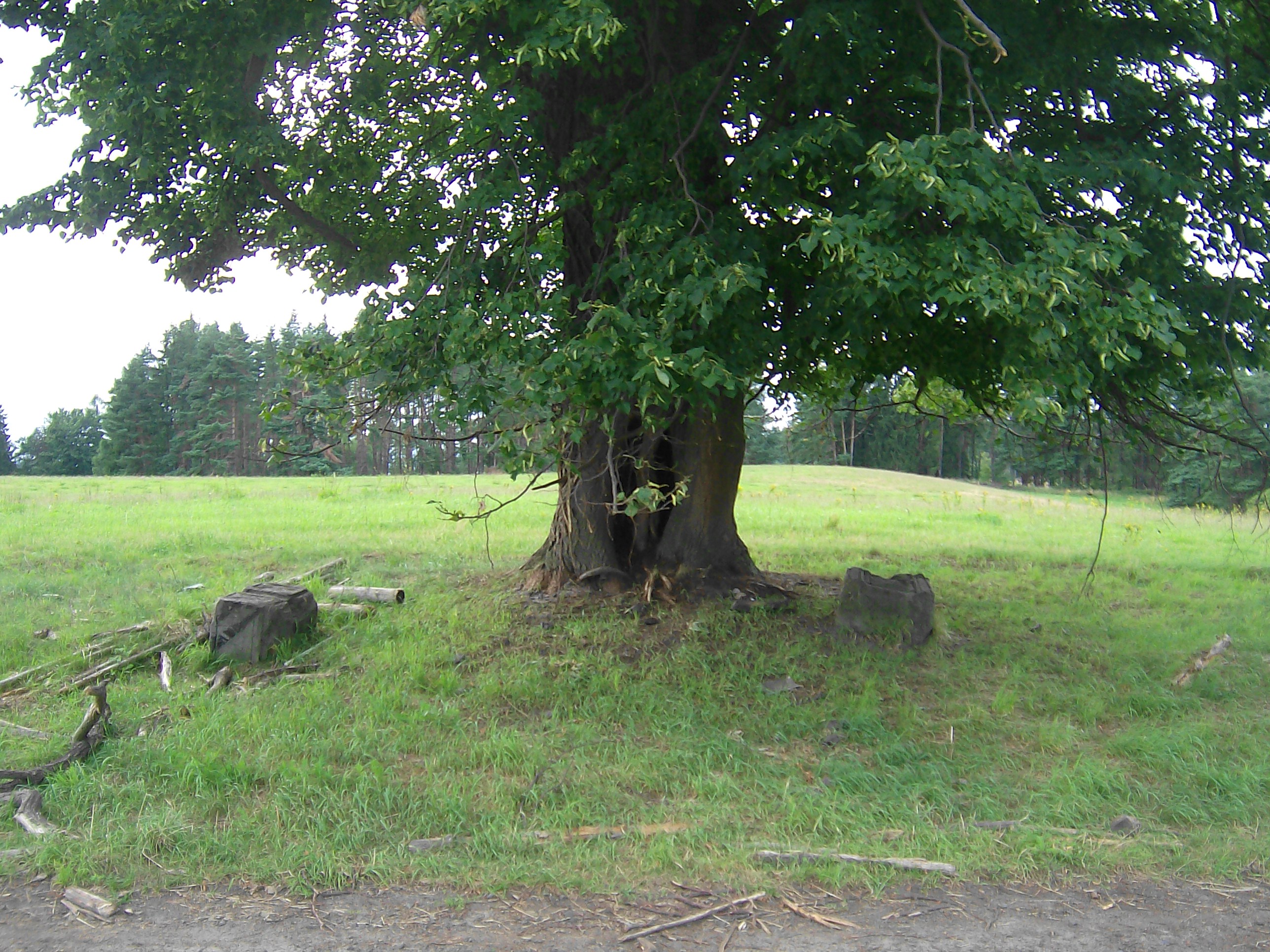 Povalená boží muka pod lípou ve středu býv. obce