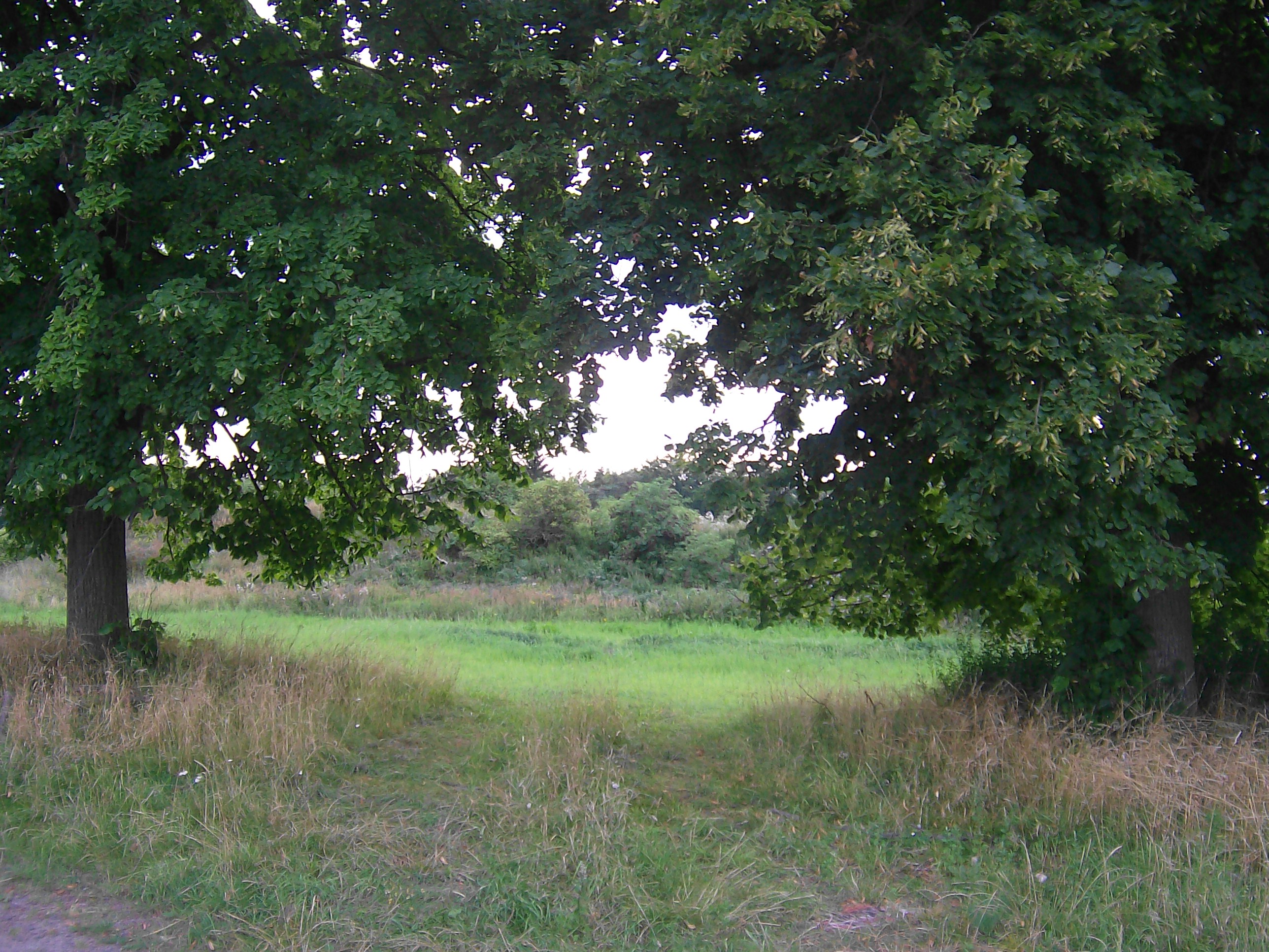 před pomyslnou branou dvora Ostrov