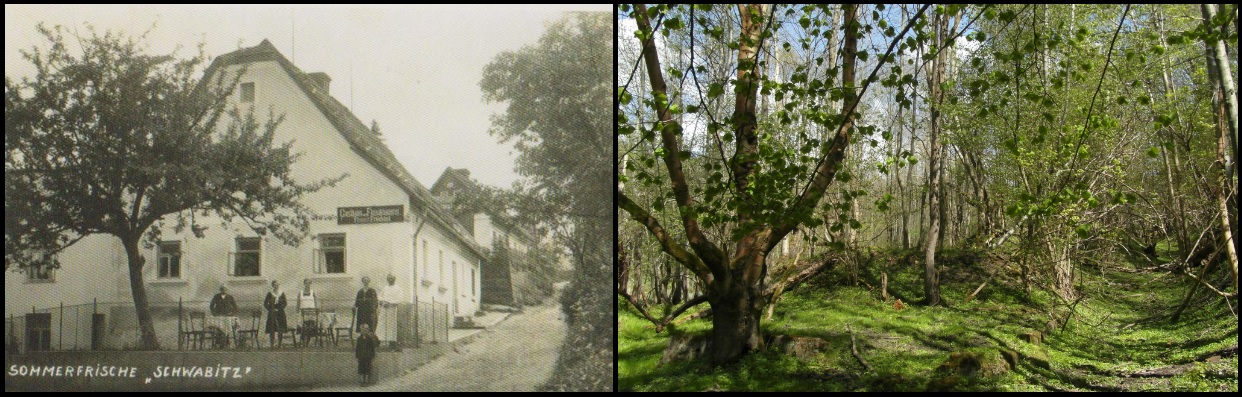 Svébořice, hostinec Franze Früchtela r. 1935 v porovnání se stavem v r. 2015