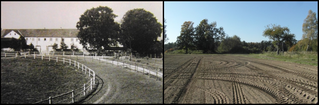 Ostrov, pohled zpředu 1930 / 2015