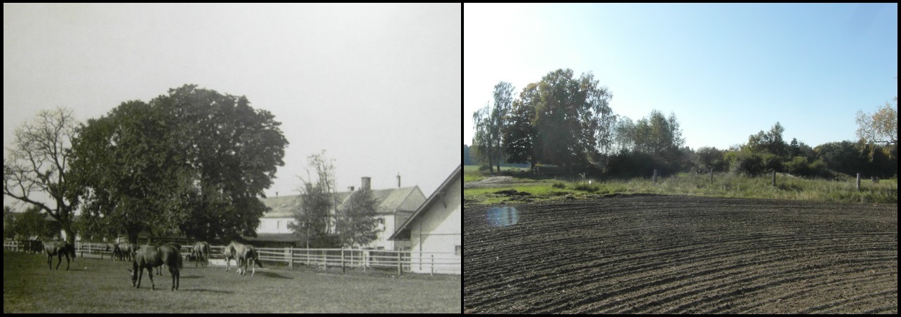 Pohled na dvůr vlevo od příjezdové cesty 1933 / 2015