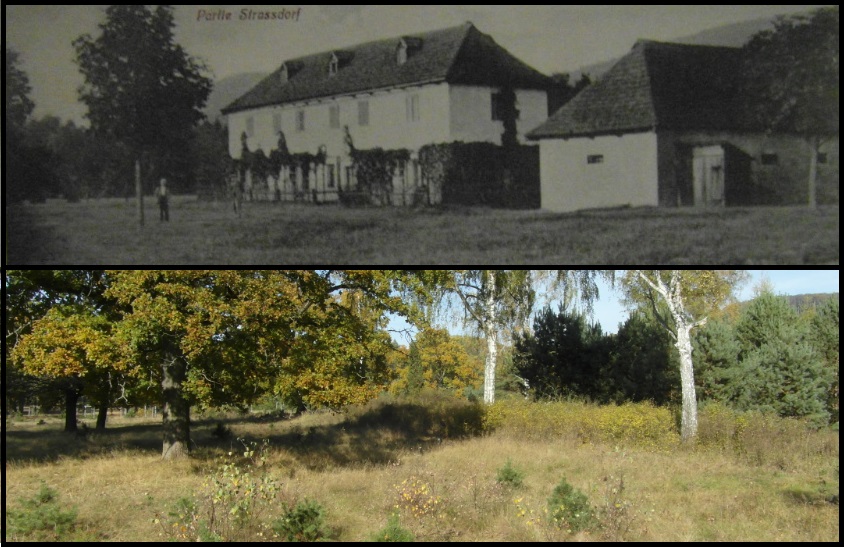 Strážov - Waldsteinský zámeček, r. 1914 / 2015