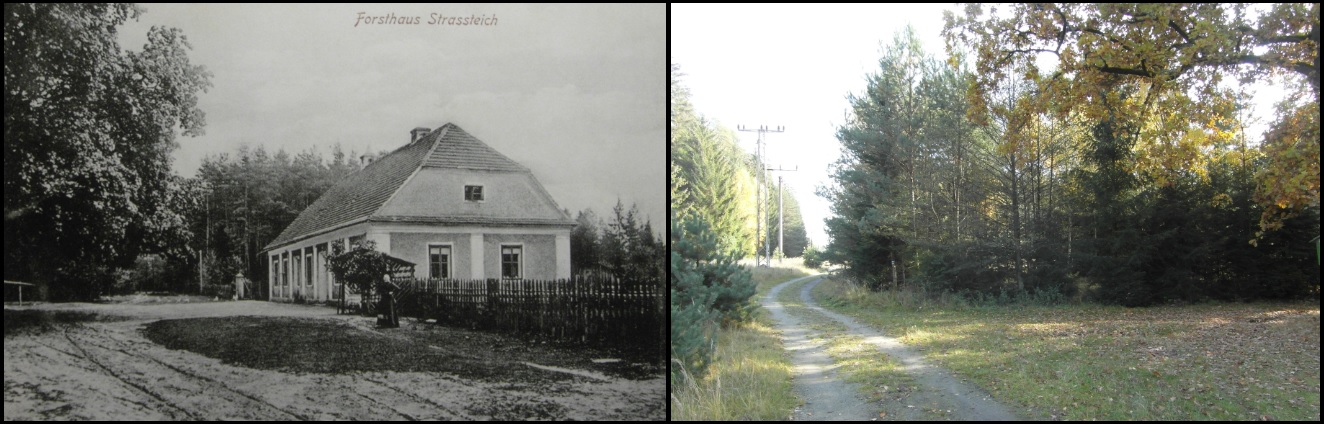 Strážovský rybník a hájovna, r. 1909 / 2015