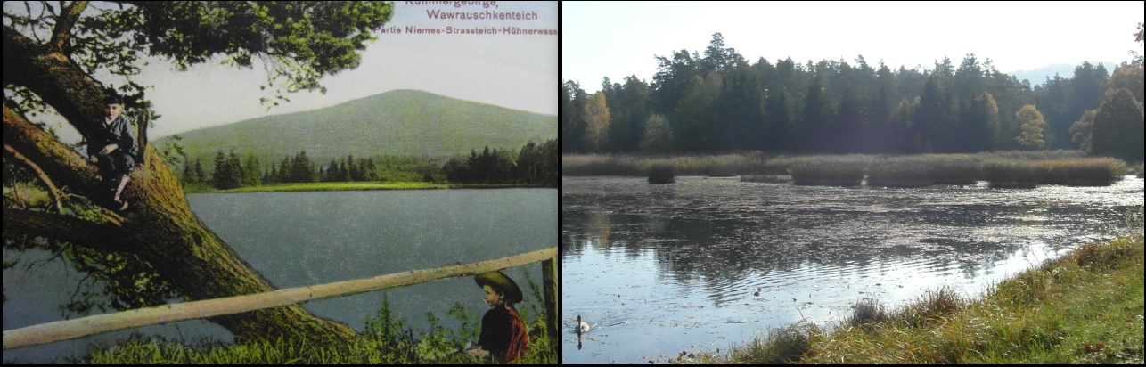 Vavrouškův rybník, r. 1910 / 2015