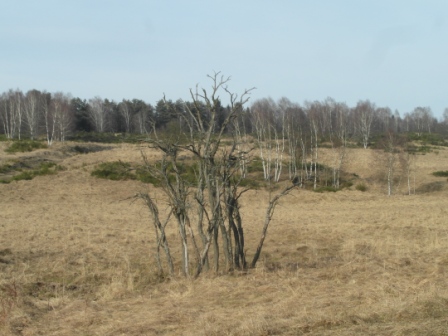 Dříve zde byla pole