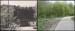 Příloha 6: Svébořice, hostinec r. 1930 v porovnání se stavem v r. 2008